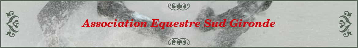 Association Equestre Sud Gironde